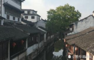 深耕突破 辰龙而上 | 文体旅局召开年度工作会议暨表彰大会