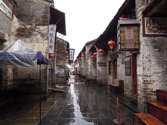 杨紫的3个新年目标曝光：体重年轻，钱包稳重，以及这一个
